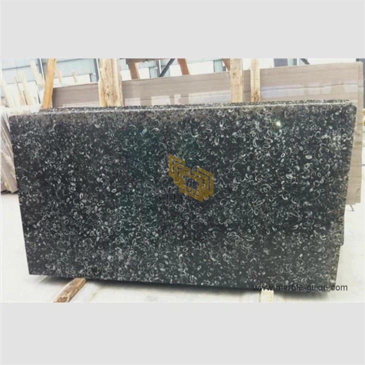 Seashell Black Marble For Dining Table